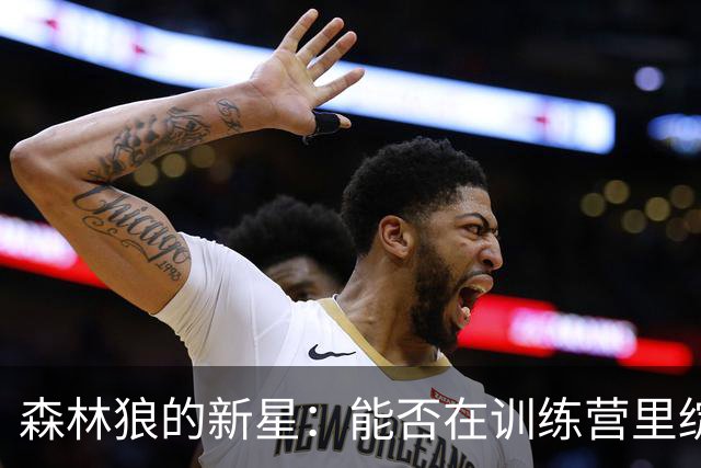 森林狼的新星：能否在训练营里绽放光芒？